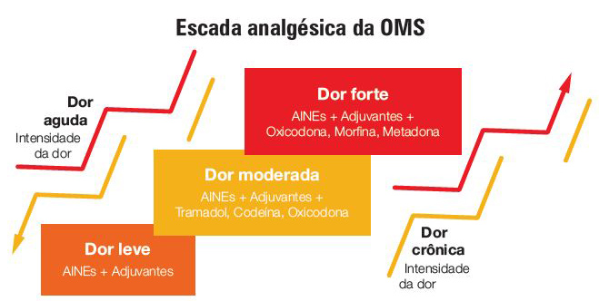 Imagem: https://br.vertismed.com/dor-pt/rotacao-de-opioides-por-que-e-como-fazer/