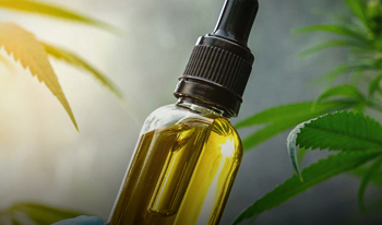Imagem: https://site.cff.org.br/noticia/Noticias-gerais/10/05/2024/sp-extrato-de-canabidiol-cbd-ja-pode-ser-solicitado-de-forma-gratuita-em-farmacias-do-sus