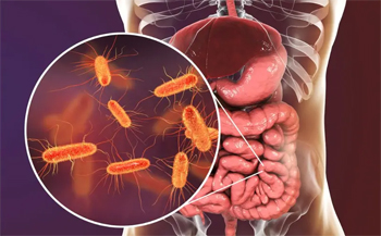 Imagem: https://www.dasagenomica.com/blog/microbioma-intestinal/